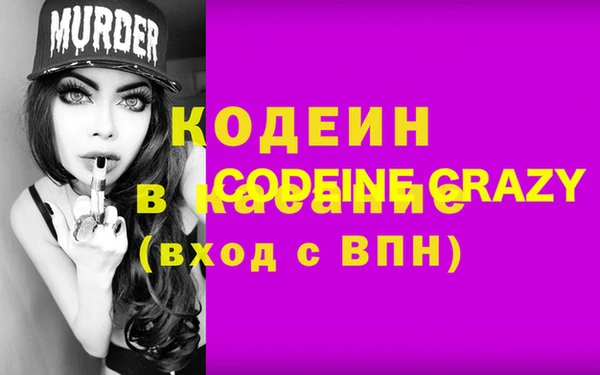 метадон Алексин