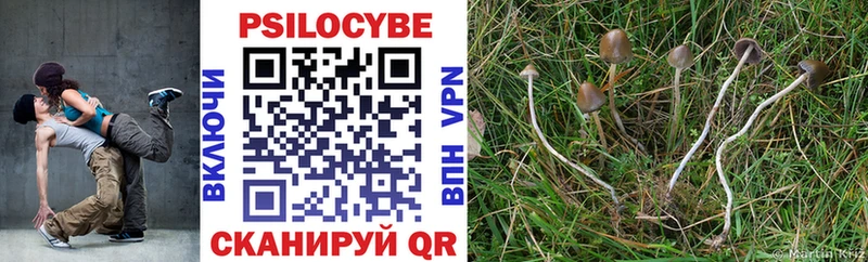 Галлюциногенные грибы Cubensis  omg онион  Орлов 