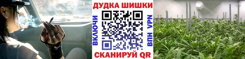 Конопля план  Орлов 